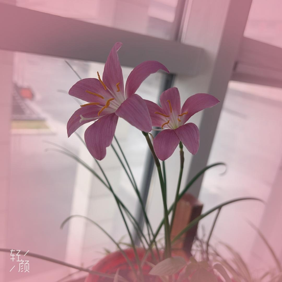 眼泪没声音