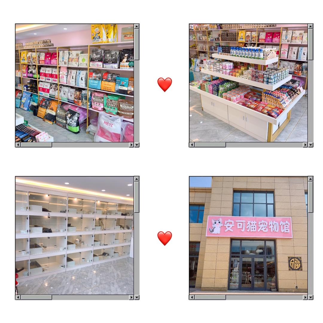 安可猫宠物馆
