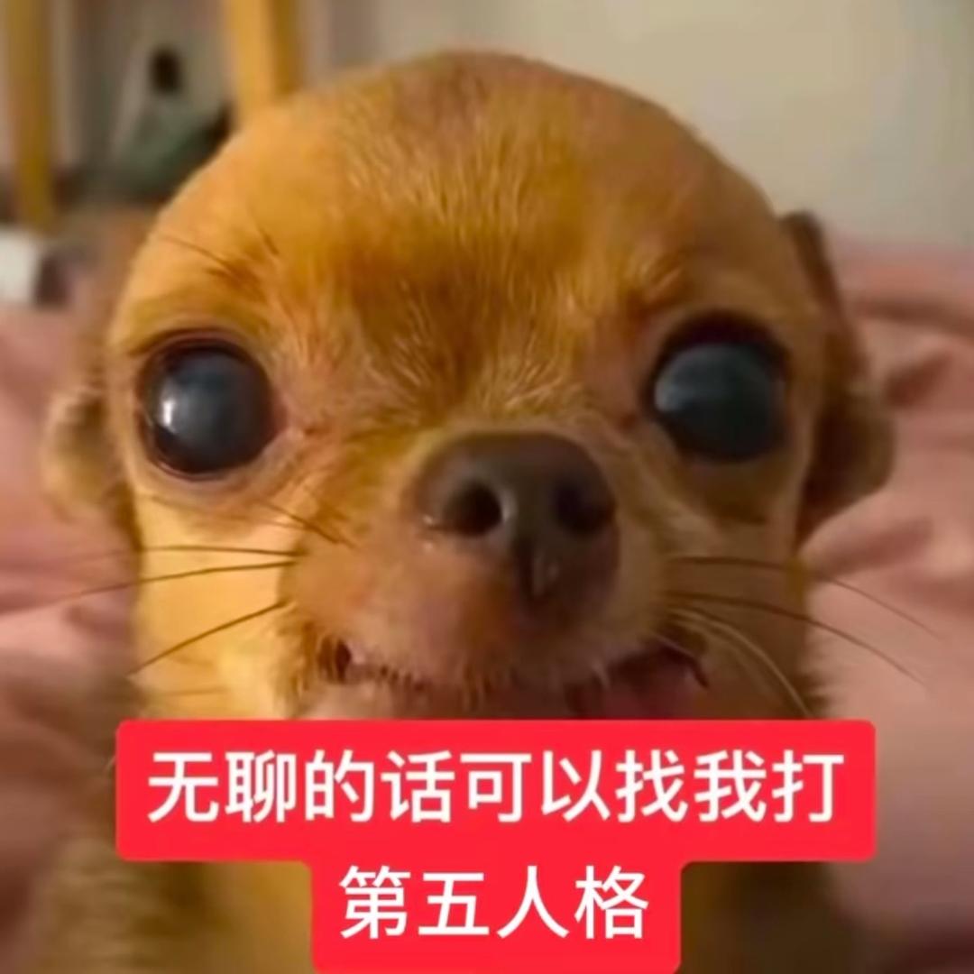 饼狗不是bingo