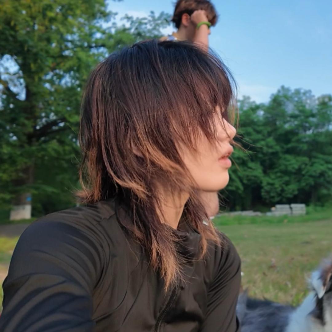 李藏藏