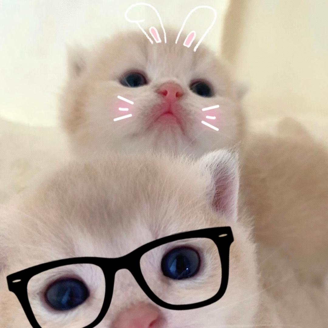 凡凡