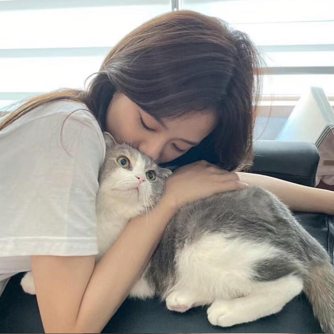 超级猫猫头
