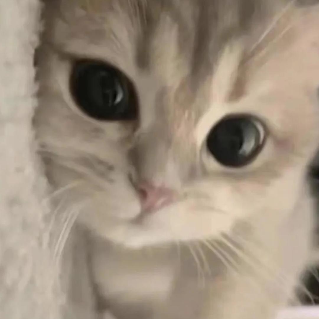 生鱼片🍣