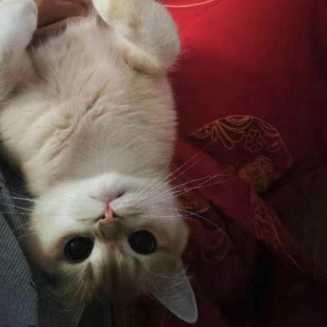 多多的快乐生活