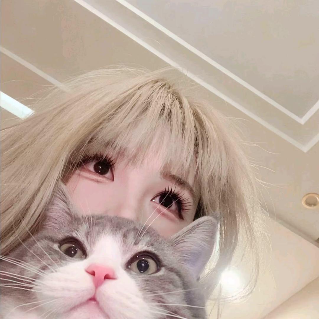 陈•