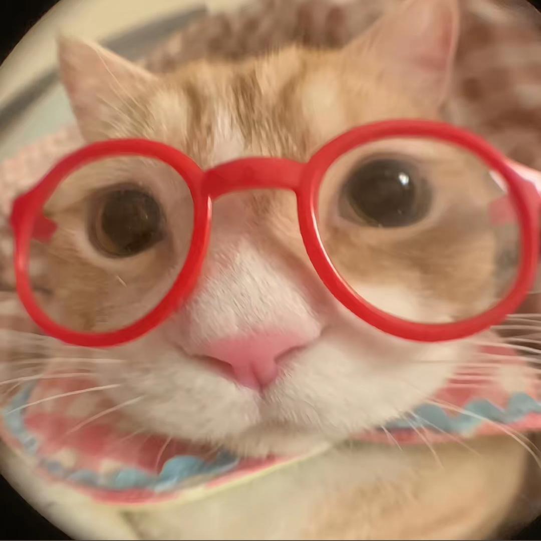 小团团