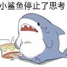 鲨鱼饲养员