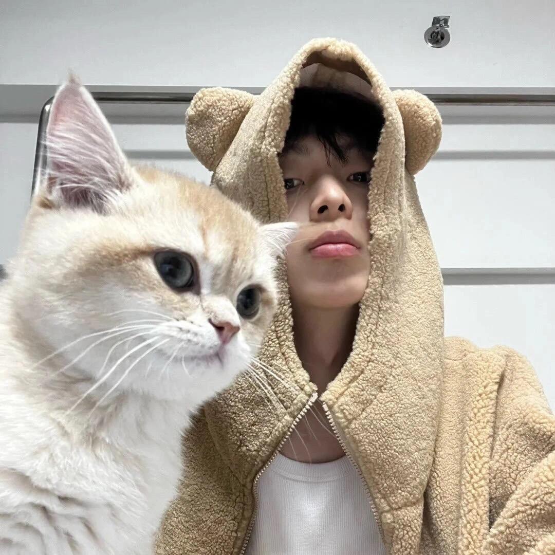 木木夕.