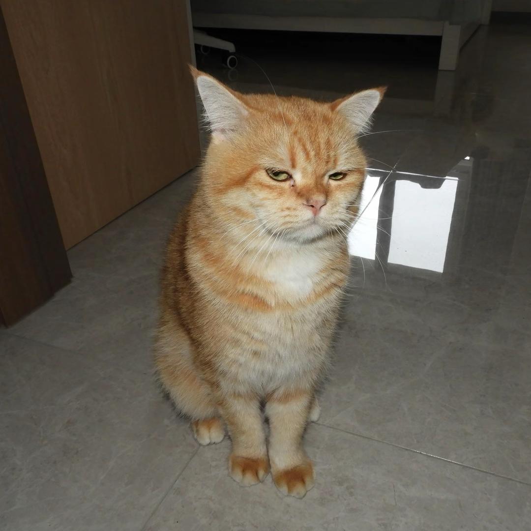 吃啥呢给我来一口♠⁷