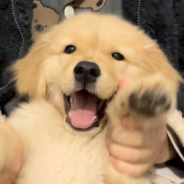 蒋蒋🦁