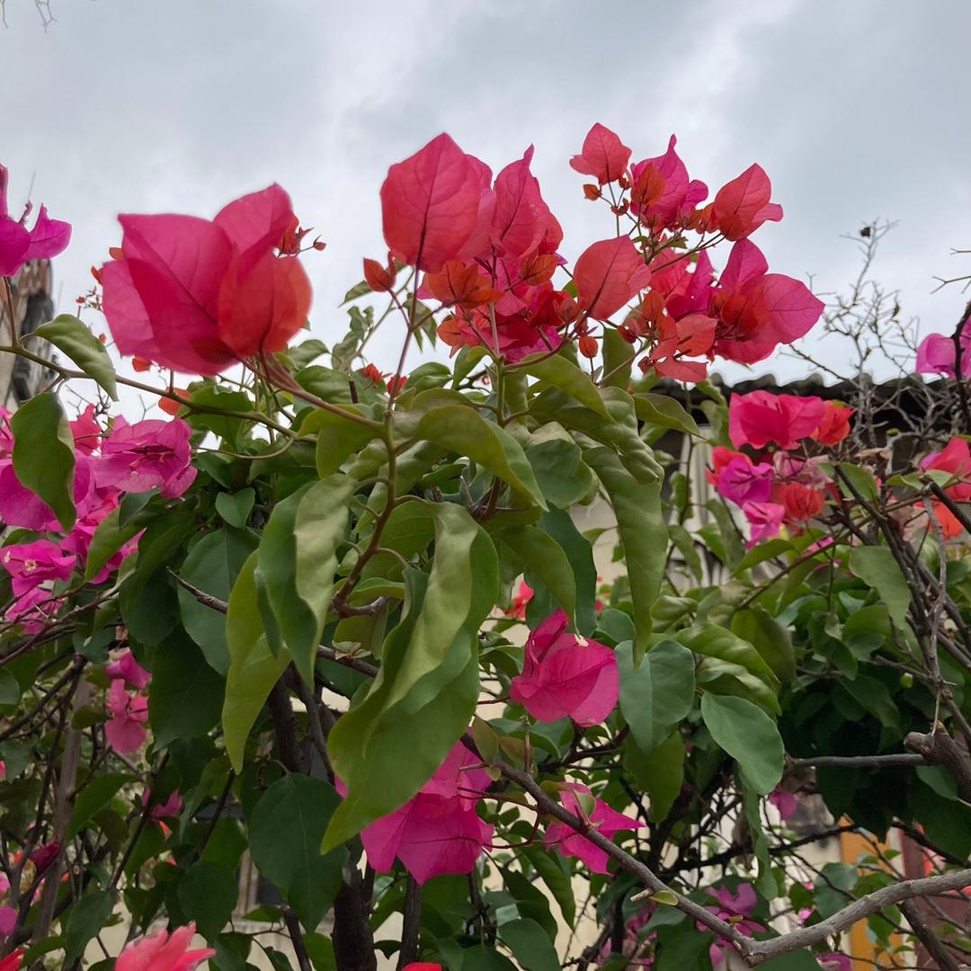 小苏苏～🌈🌈