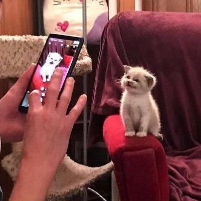一口鸟