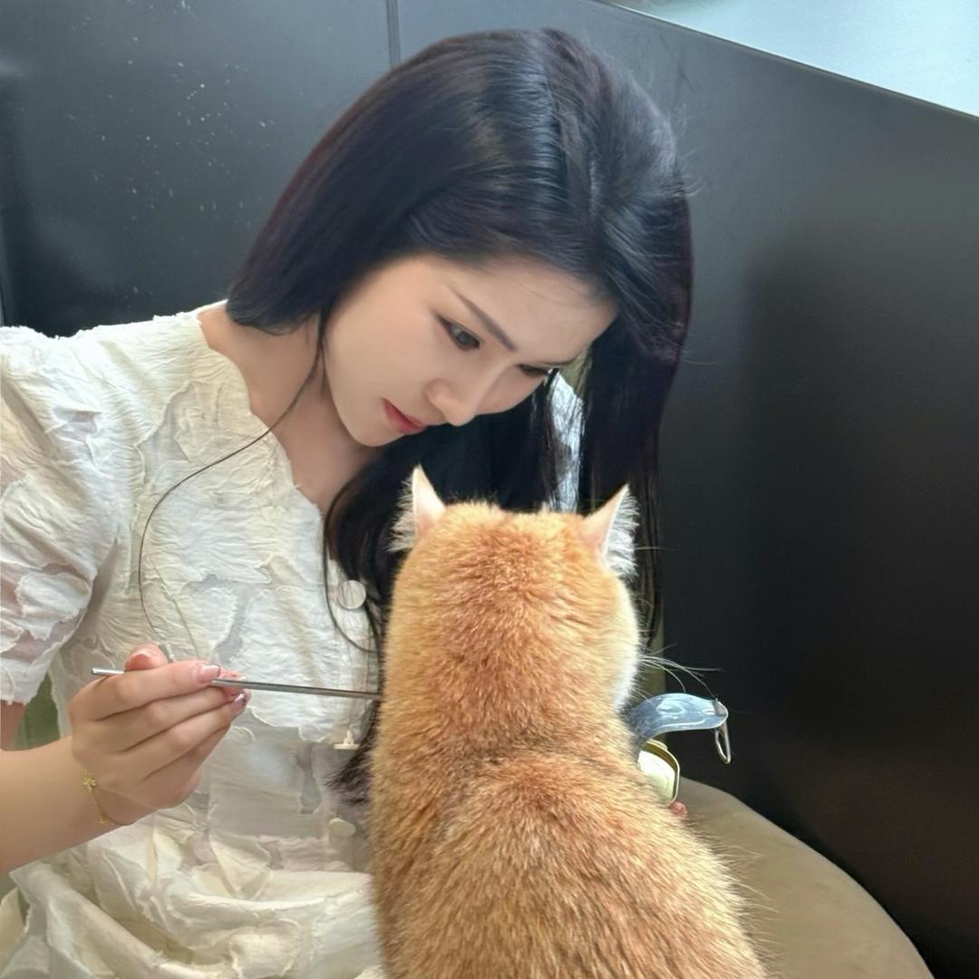 鸡腿崽崽🐰
