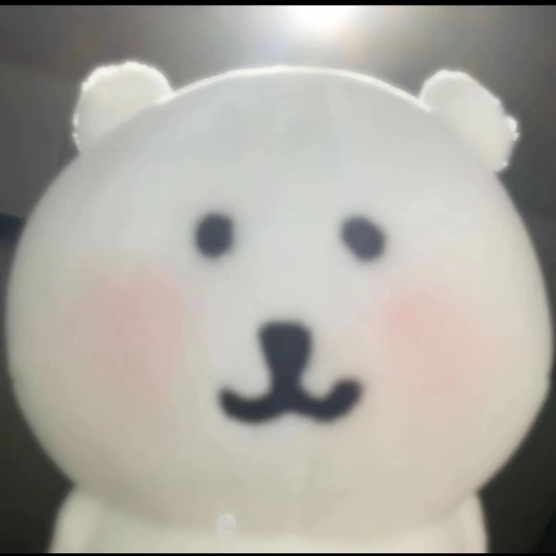 不菠萝心