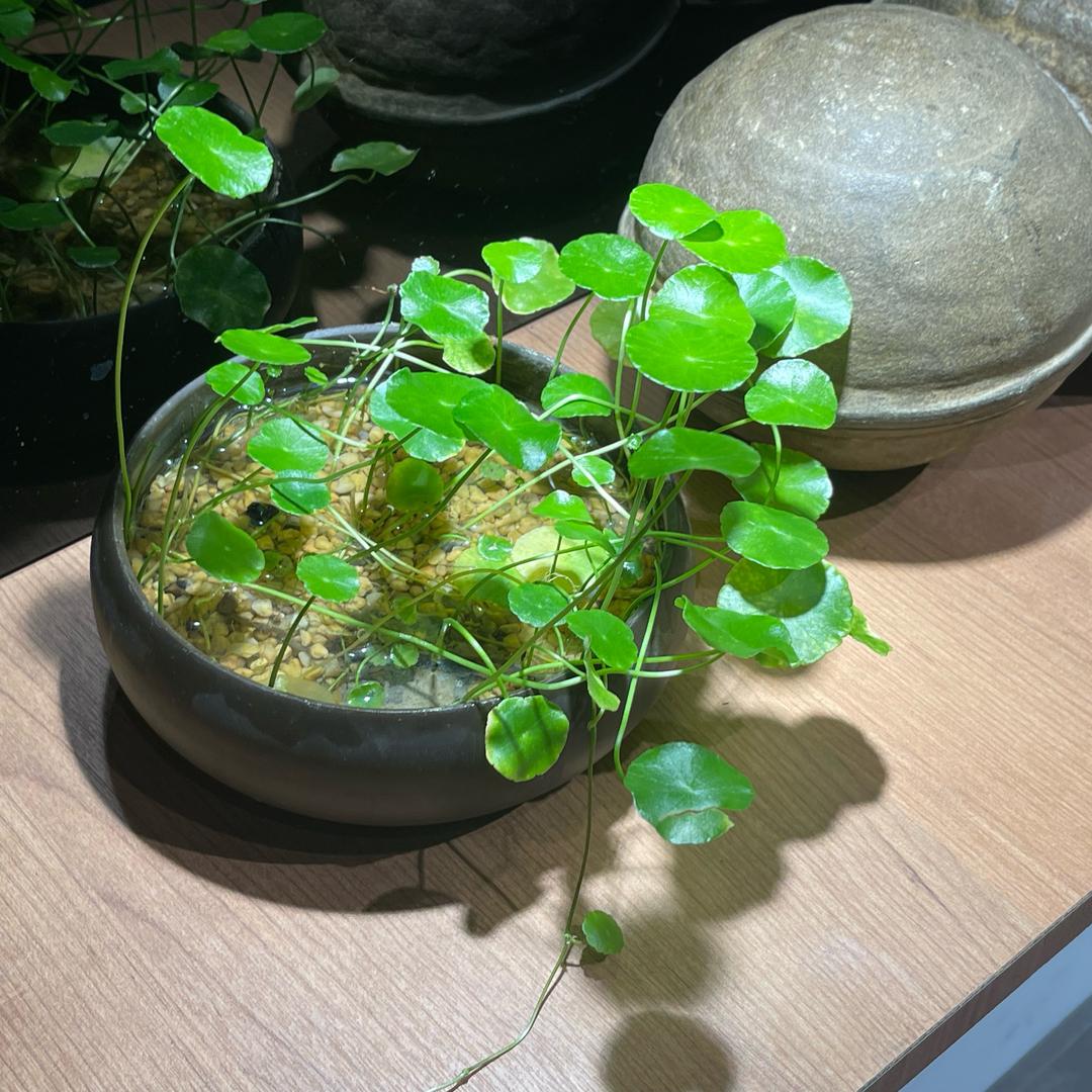 小四衣铺