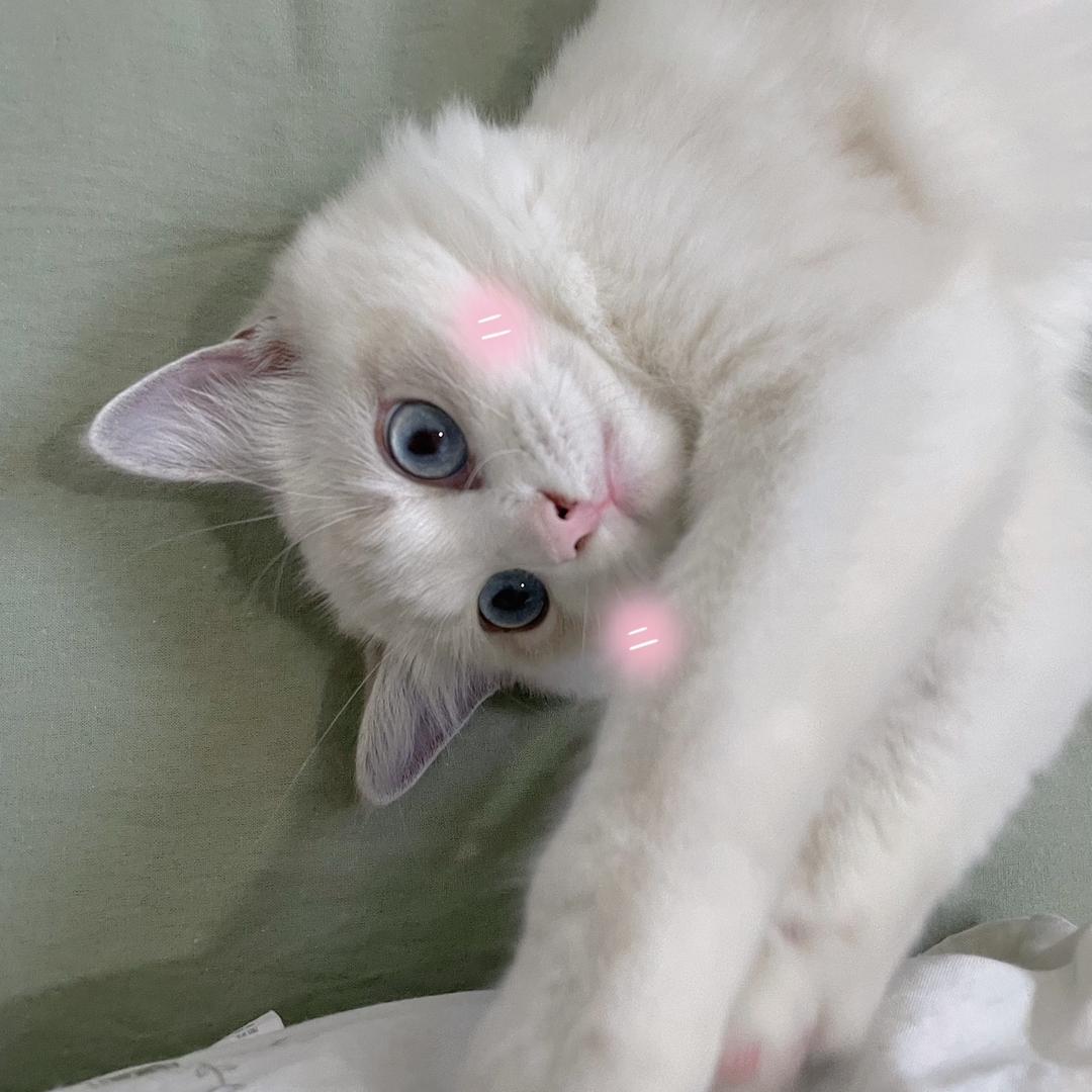 小陈.