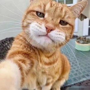 忘川•᷄ࡇ•᷅秋水