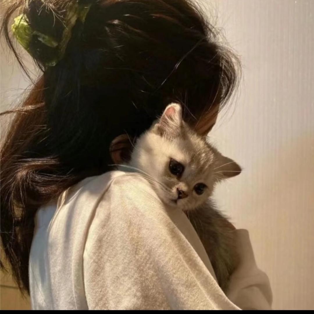 蒽