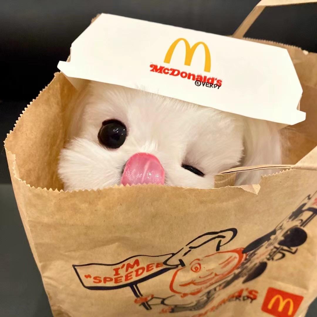 尚品休闲女鞋