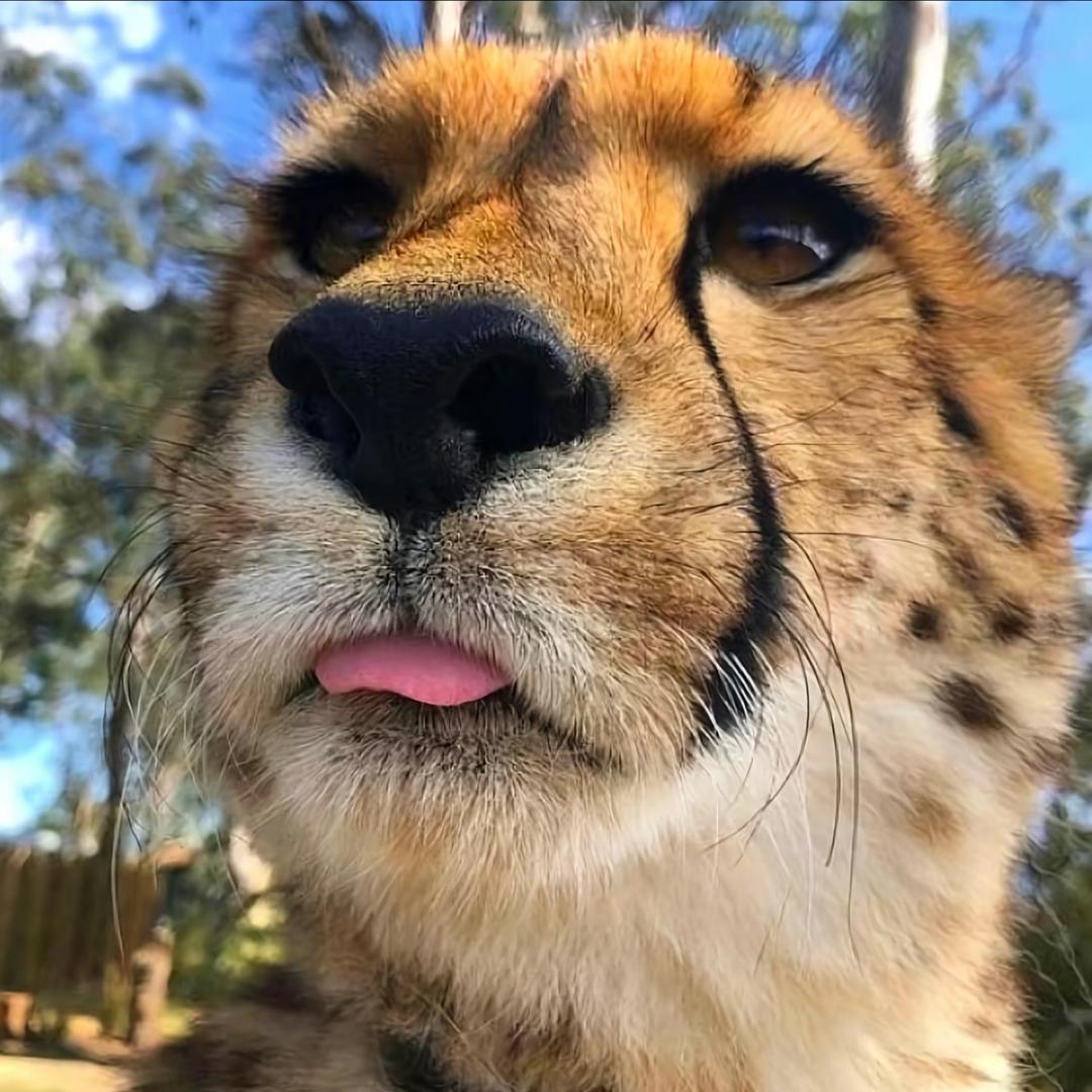 戎泉