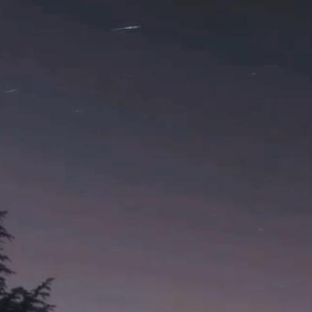 玖 离
