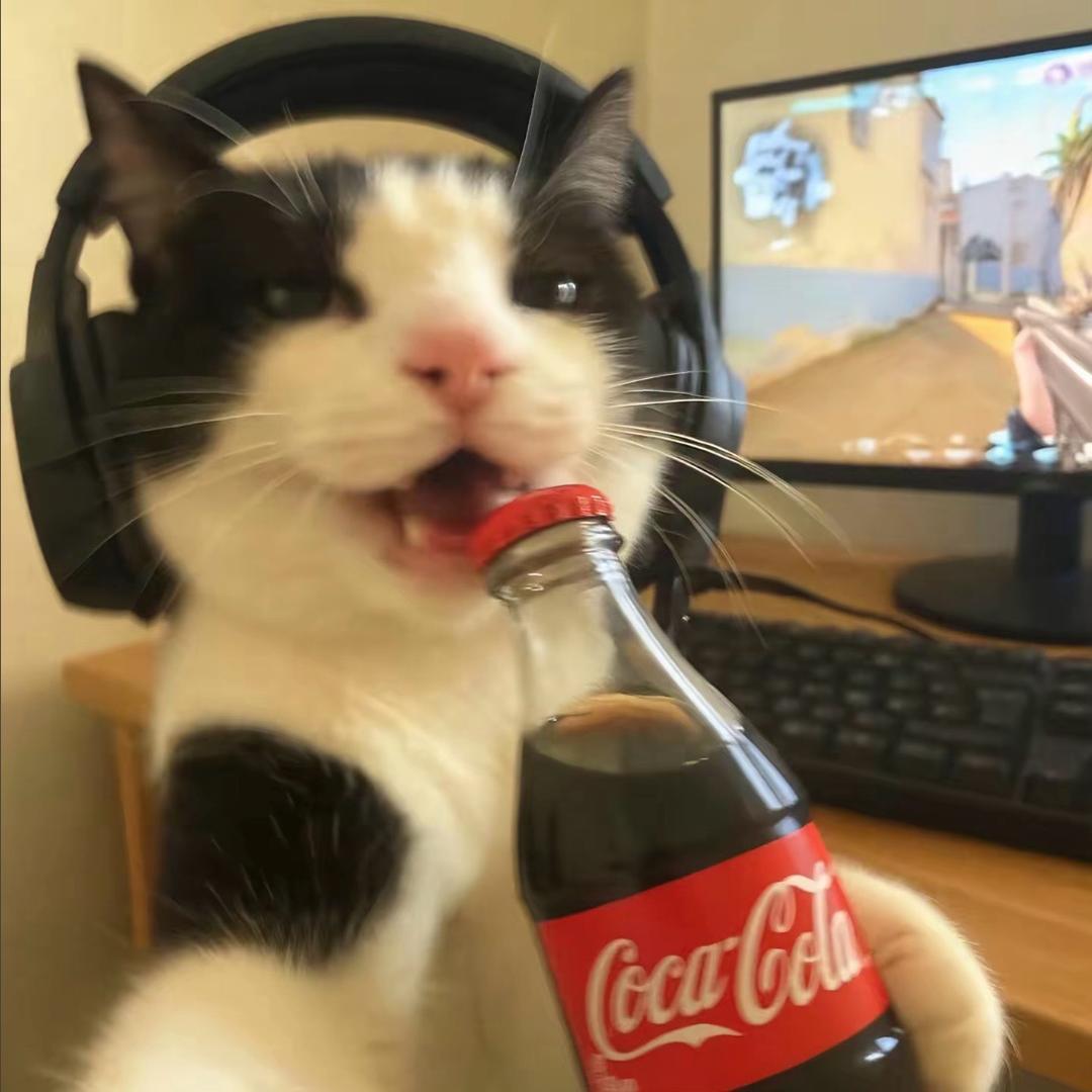 猫六（上学版）
