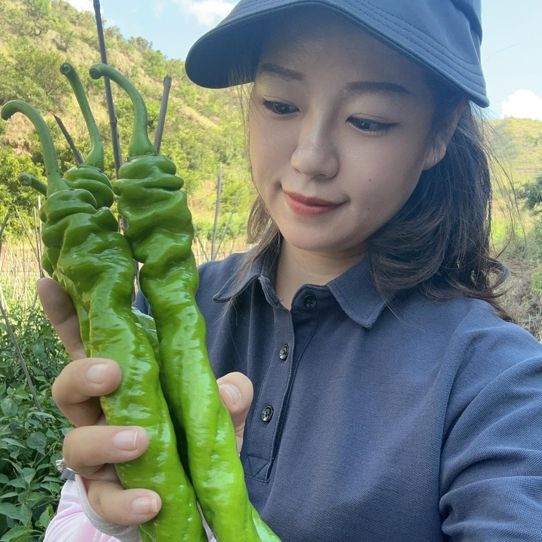 云南鑫丰向农业科技有限公司