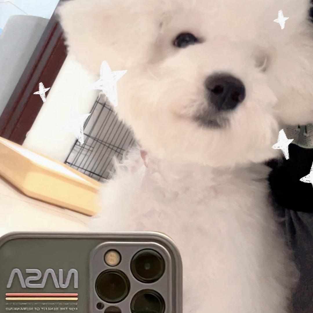 小白吃不饱