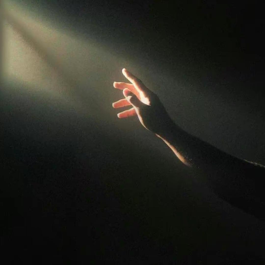 帅气的罗爸爸。