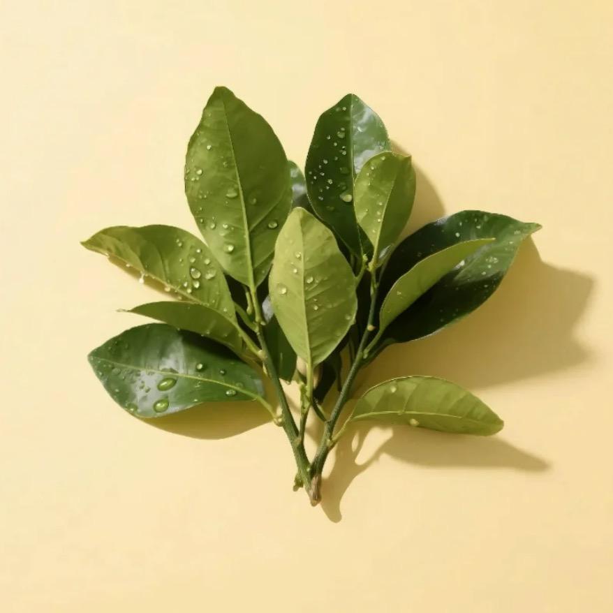 有¹点小糕冷（发财版）