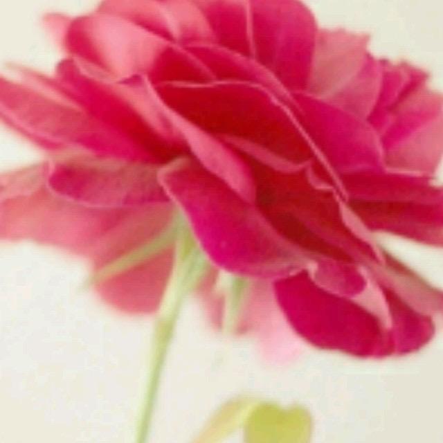 壹壹菇凉