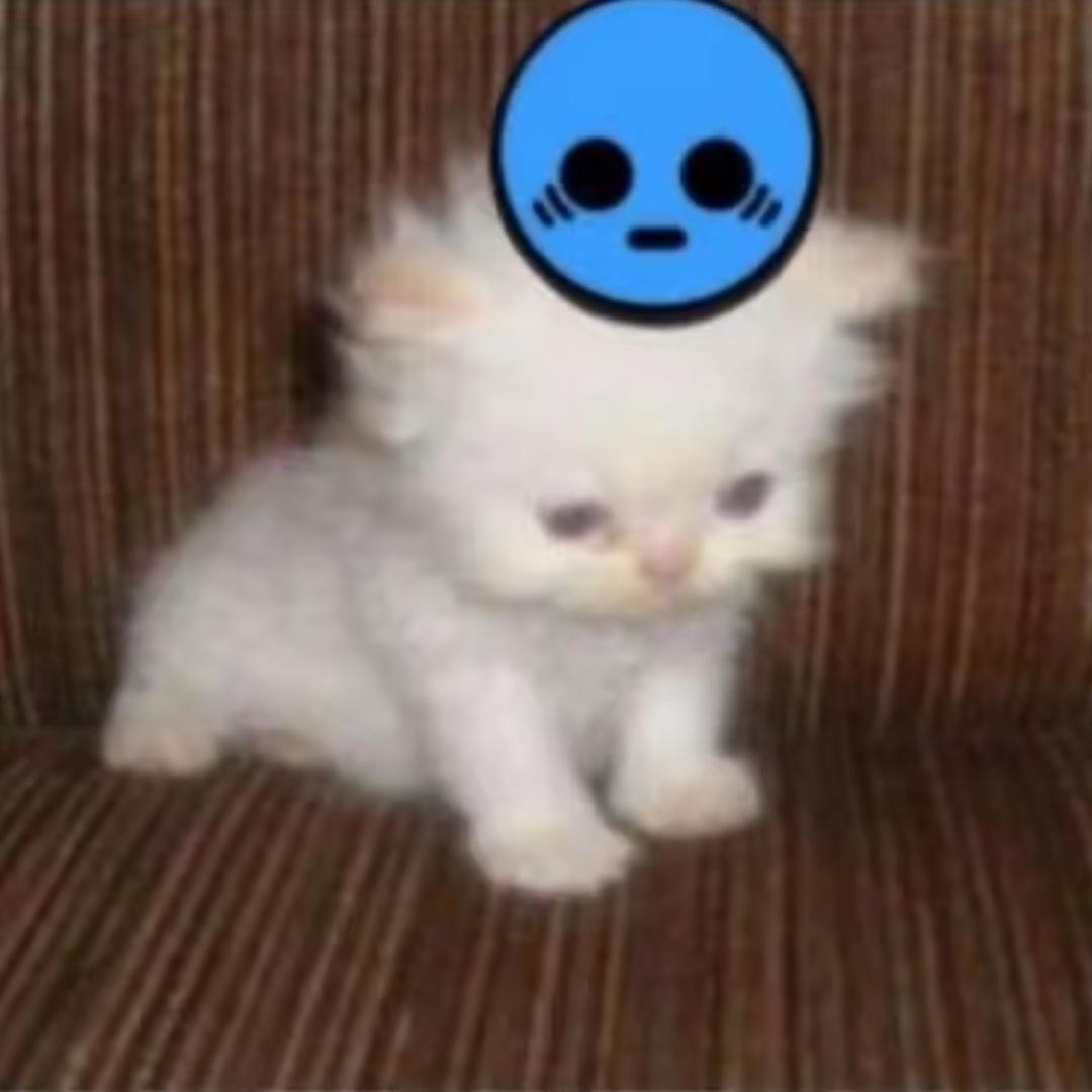 Wheh