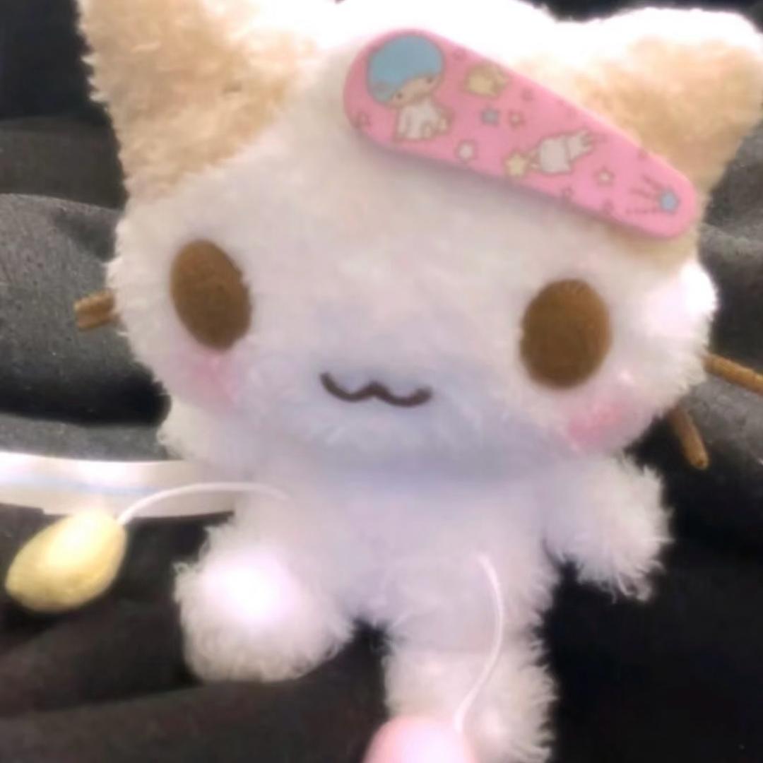 你是不是油猫饼