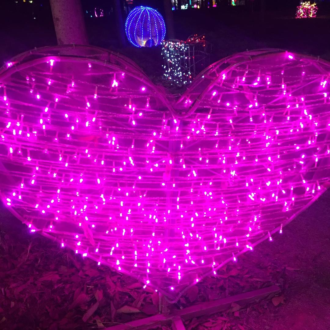 一切美好（拒私聊）