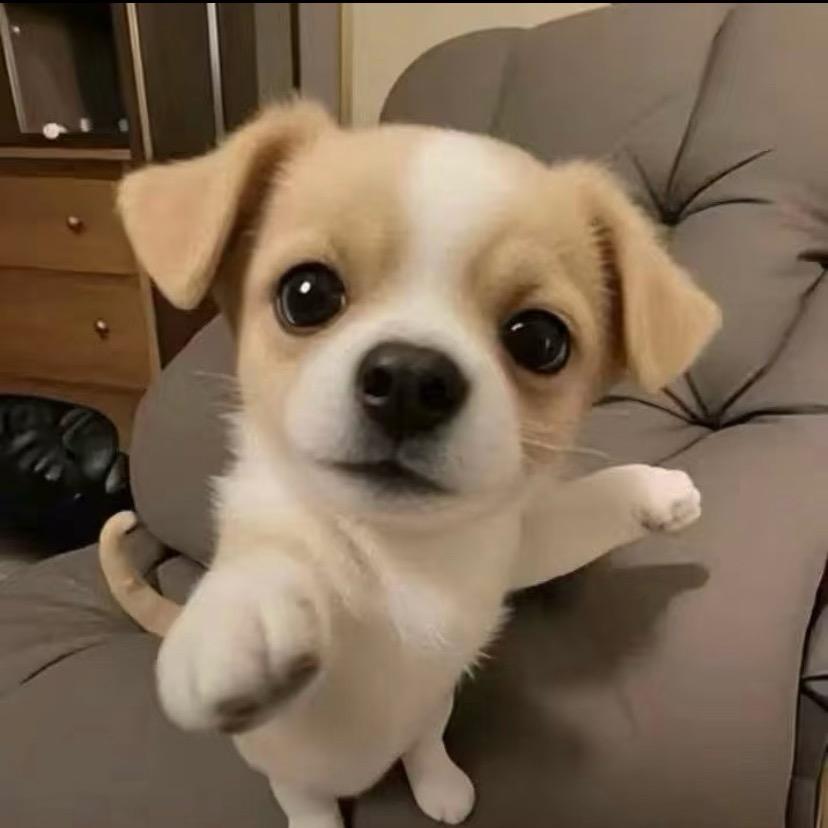 海的那边还是海