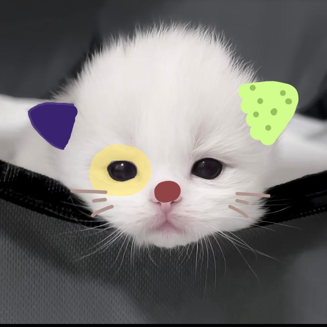 翻斗花园的小怪