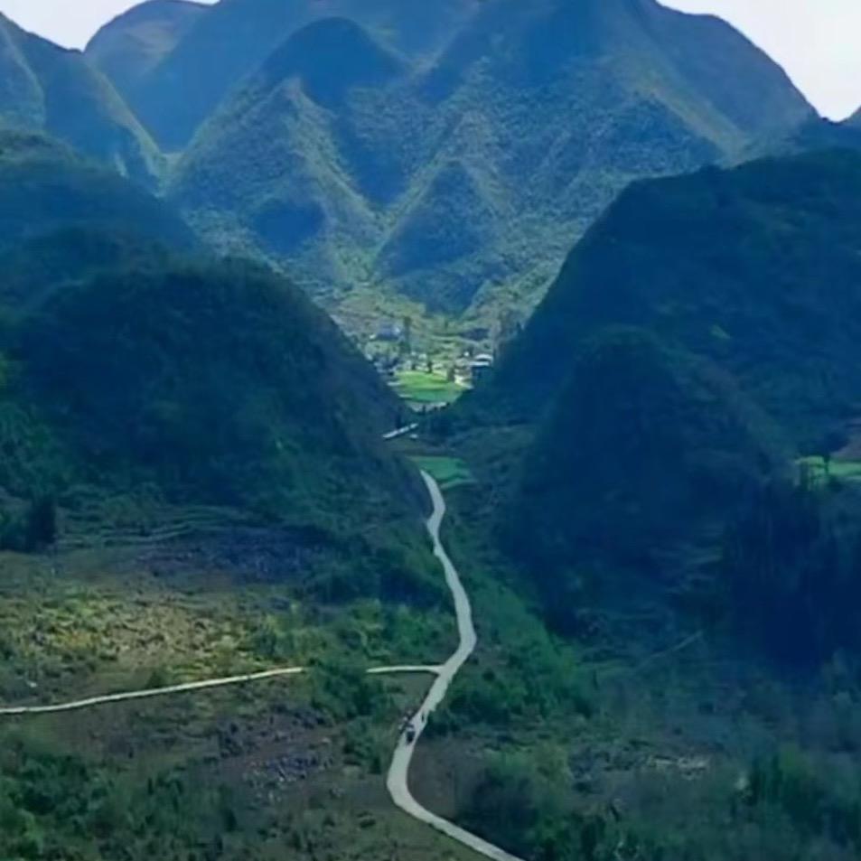 花开见海
