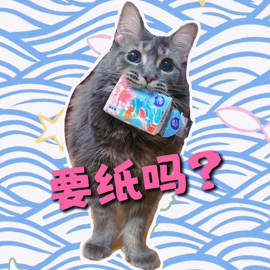 犟大宝
