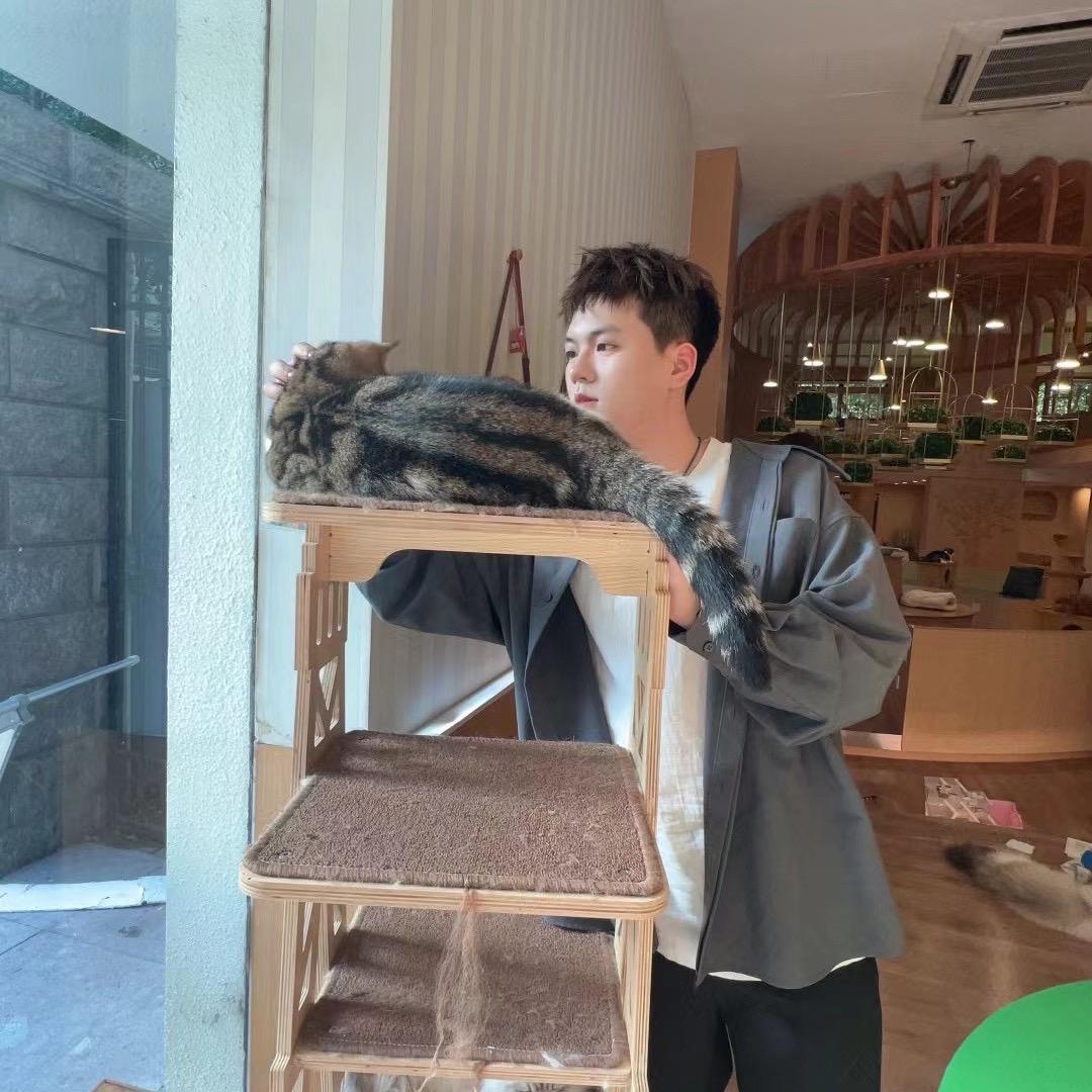 大肥猫咪