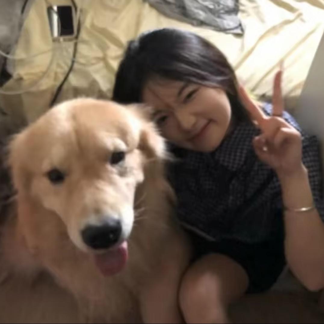 我是球球