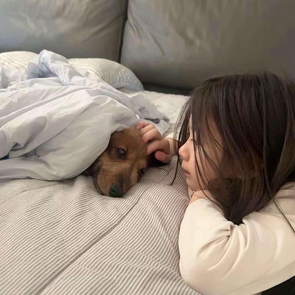 💤