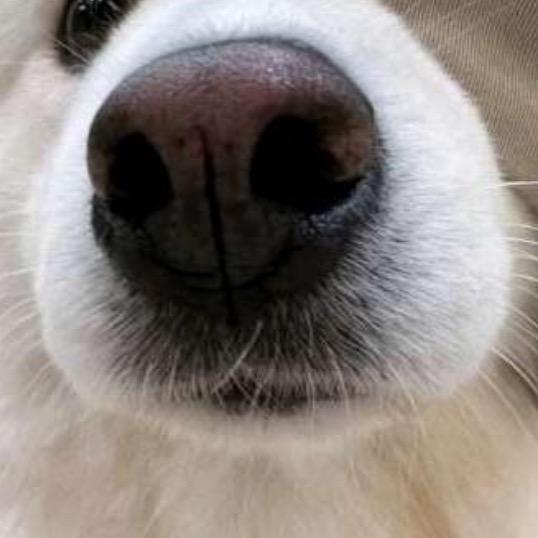 ♧.