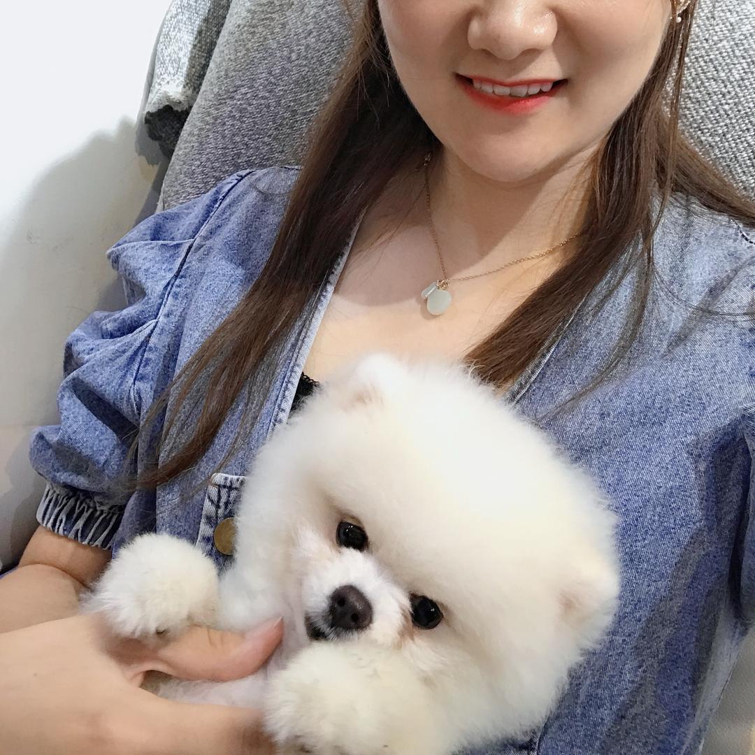 栀意✨