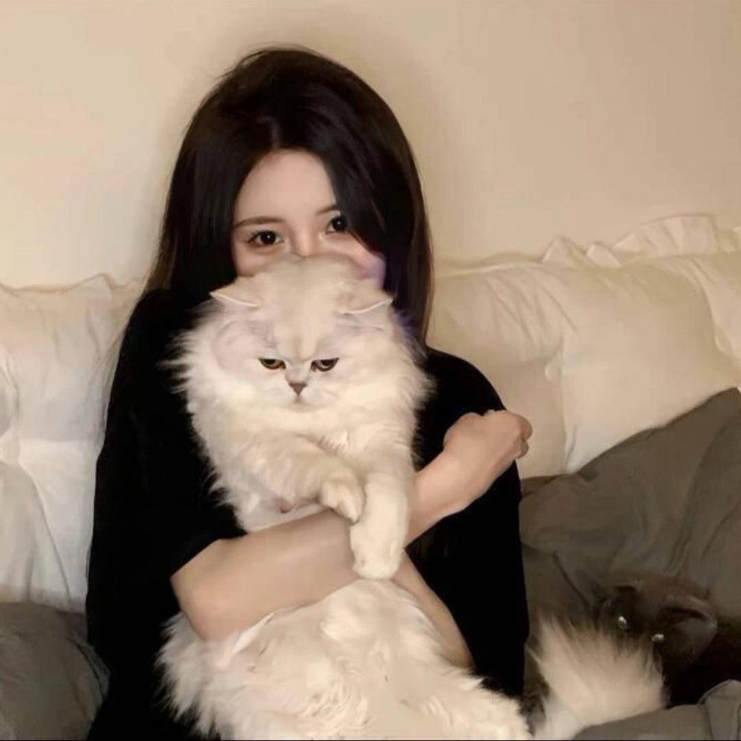 ㅤㅤㅤㅤㅤㅤㅤㅤㅤㅤㅤㅤㅤ