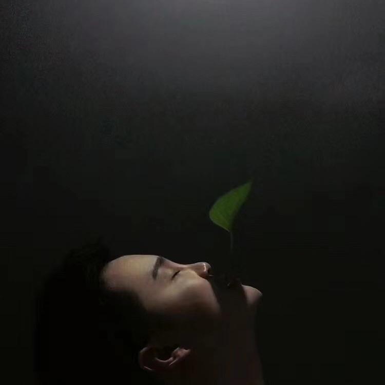伦sir不喝酒【木焱咨询馆】