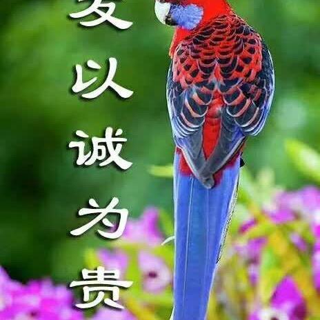 人生如戏全靠演技