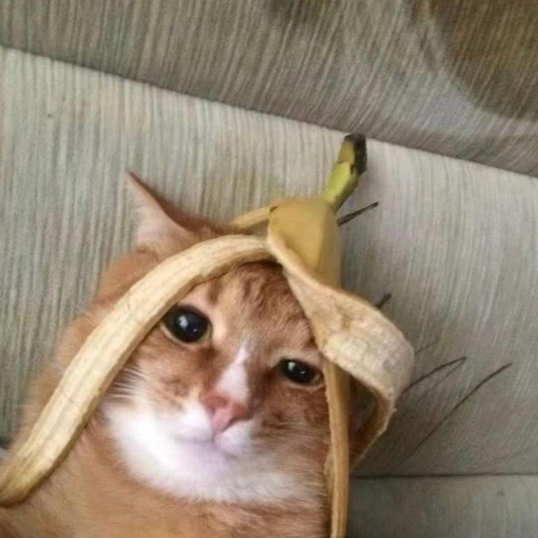 猪油吒