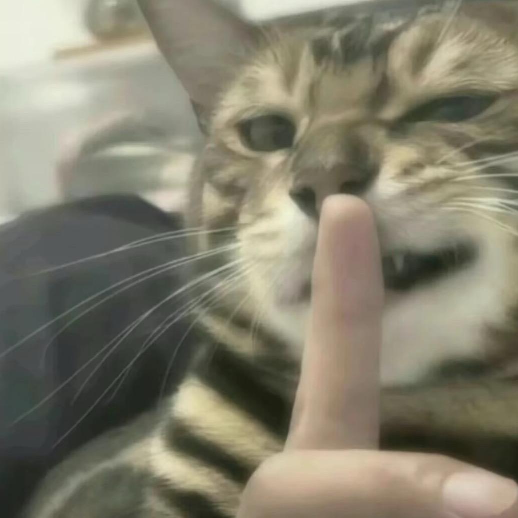 优秀大菠萝