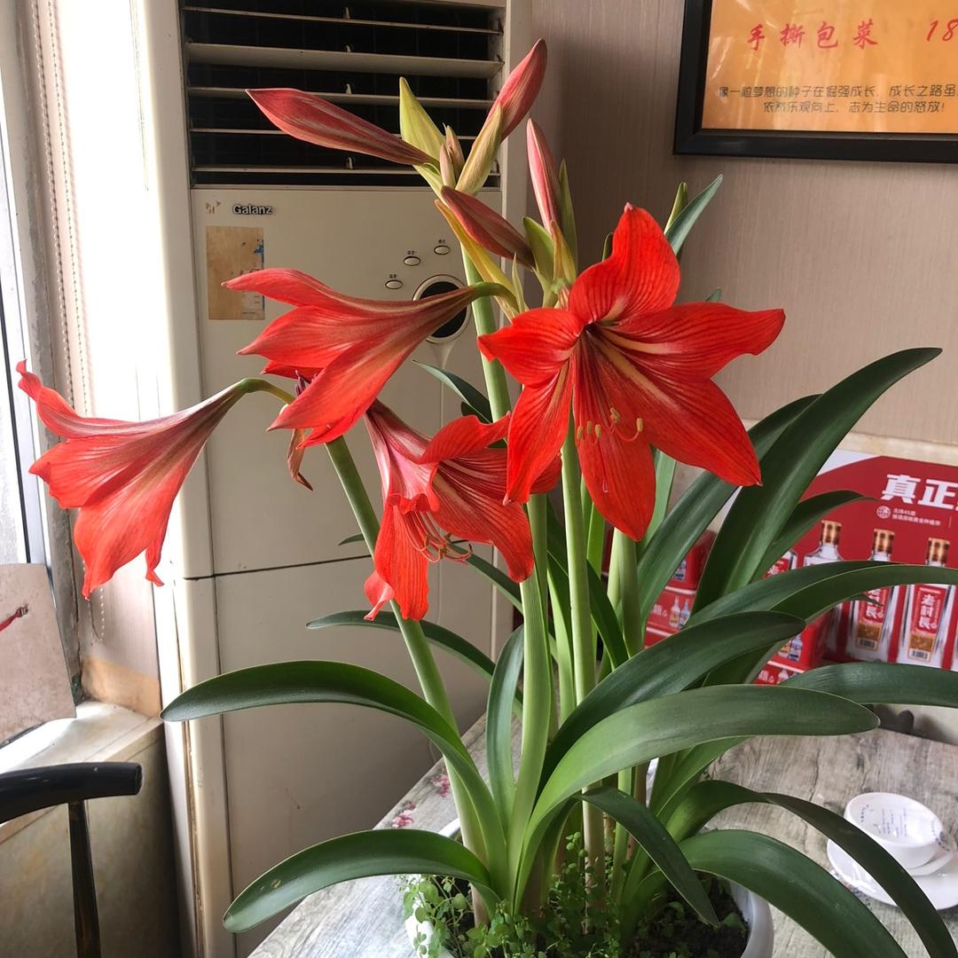 保全
