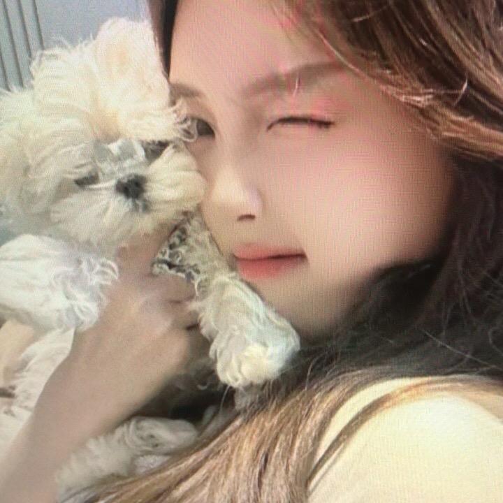 小橙橙